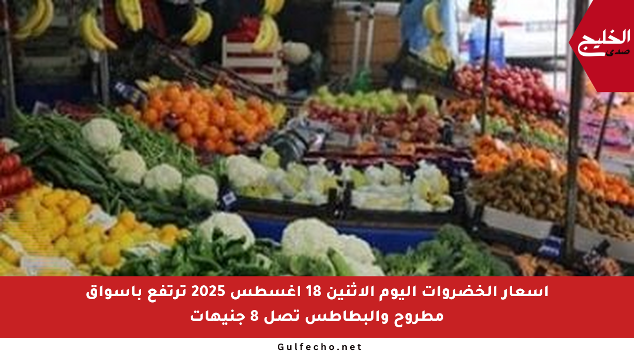 أسعار الخضروات اليوم الاثنين 18 أغسطس 2025 ترتفع بأسواق مطروح والبطاطس تصل 8 جنيهات